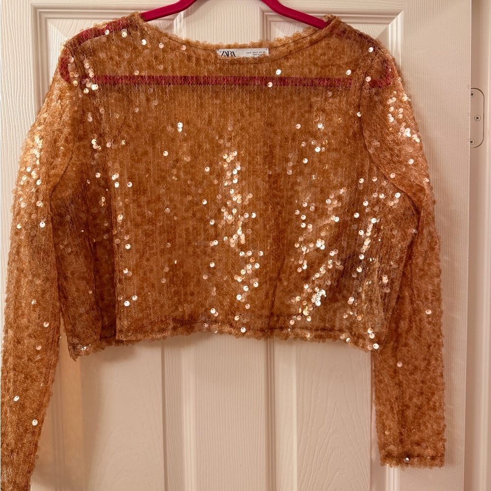 Zara Cropped Sequin Knit Long-Sleeve Top - Copper